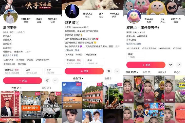 快手加粉神器让你的账号一夜爆红